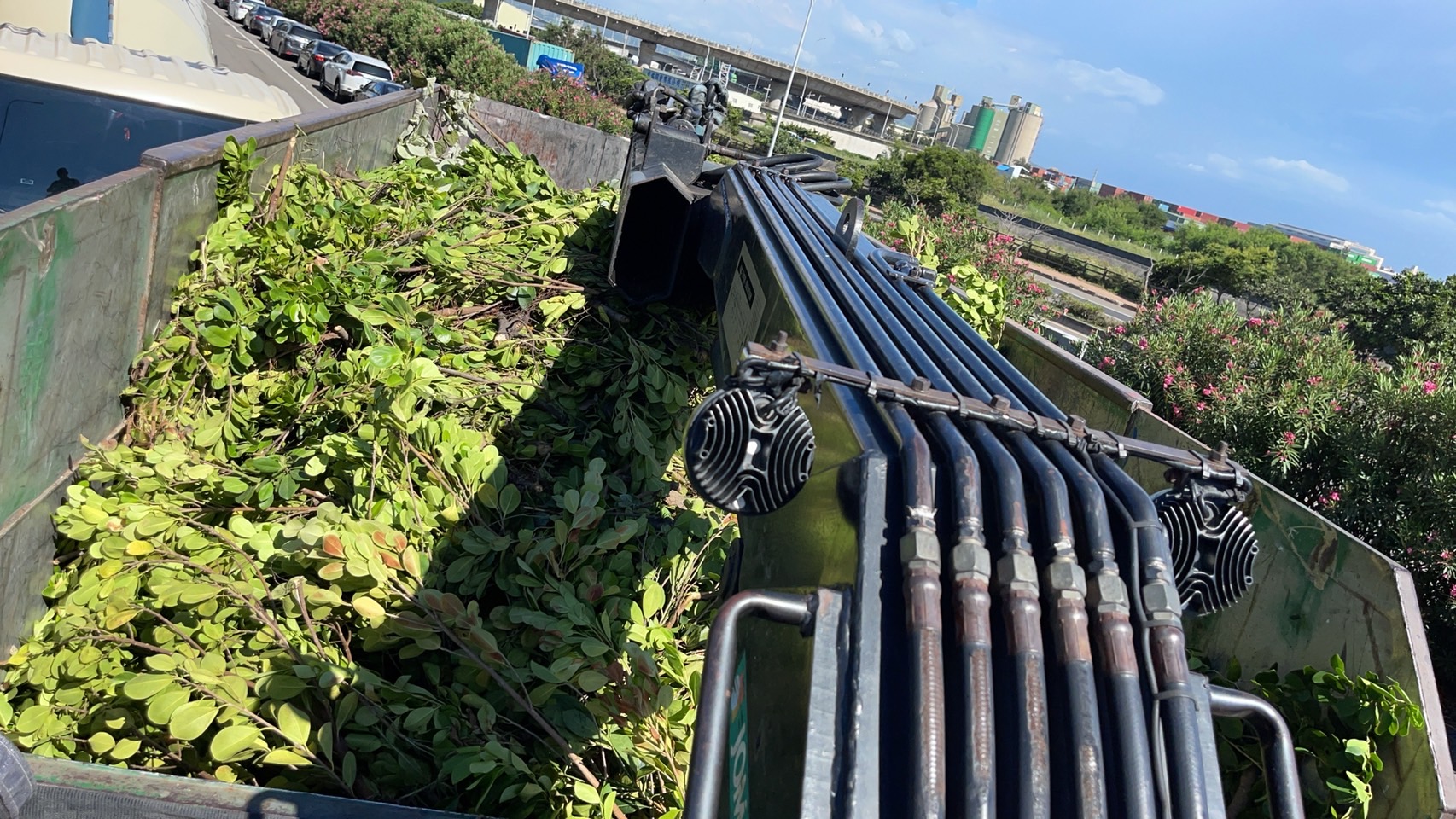 20220720梧棲區樹枝葉清運