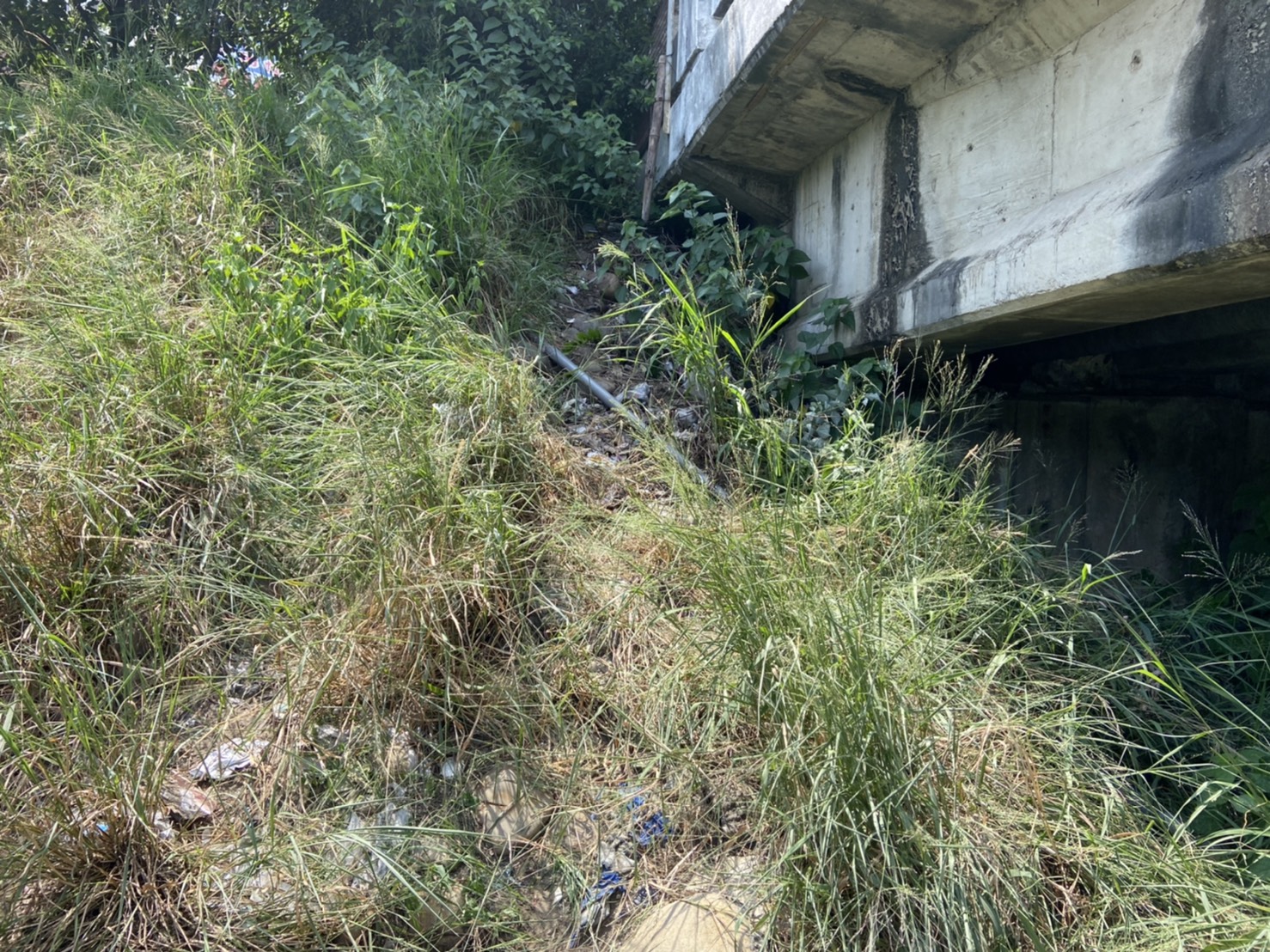 20210901大里區樹王路
