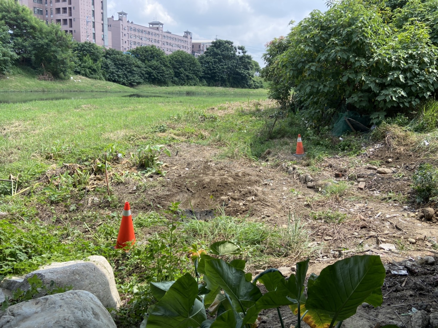 20210901大里區樹王路