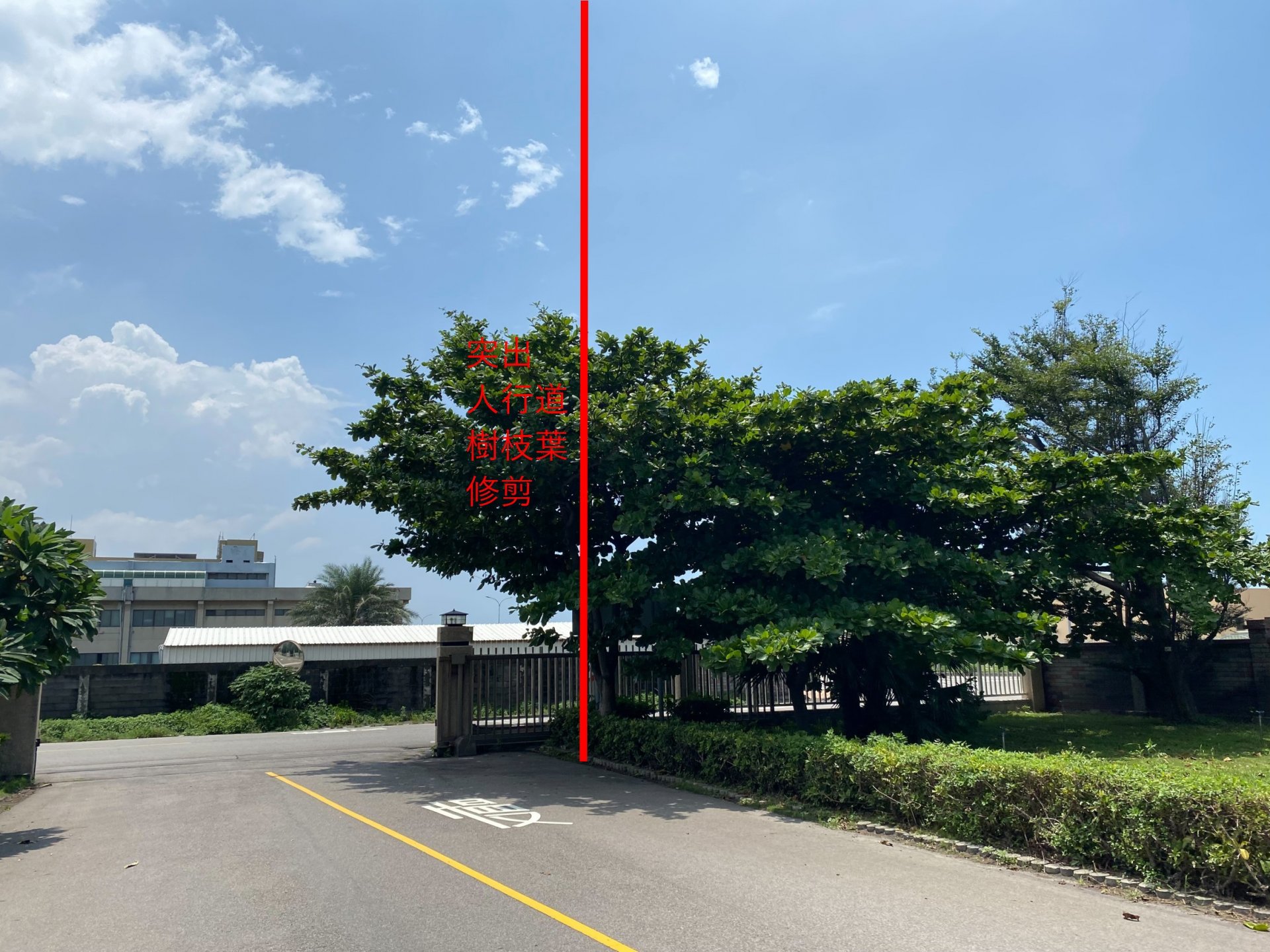 20210906沙鹿