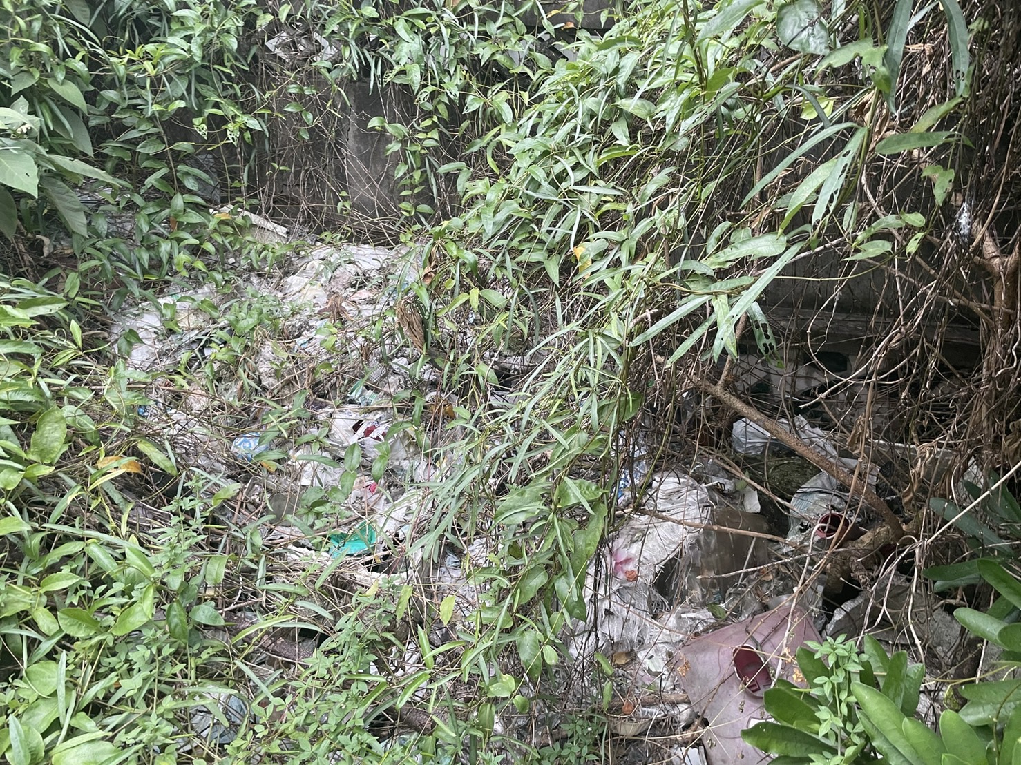 20210916 南投國姓鄉