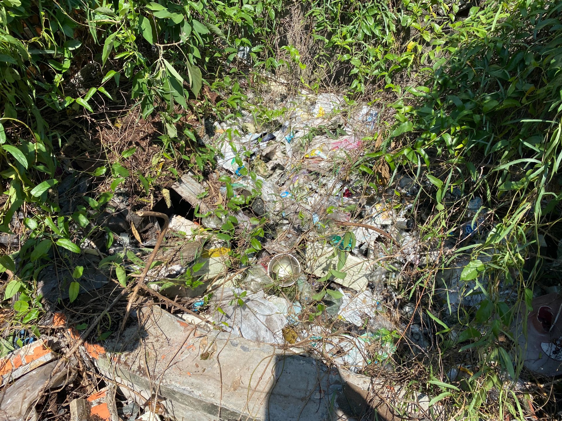 20210916 南投國姓鄉